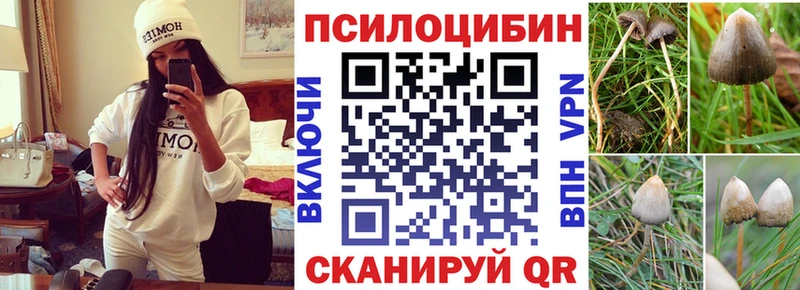 Галлюциногенные грибы GOLDEN TEACHER  Щигры 